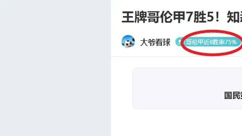 勒沃库森点球绝杀，柏林联合不幸小负德甲
